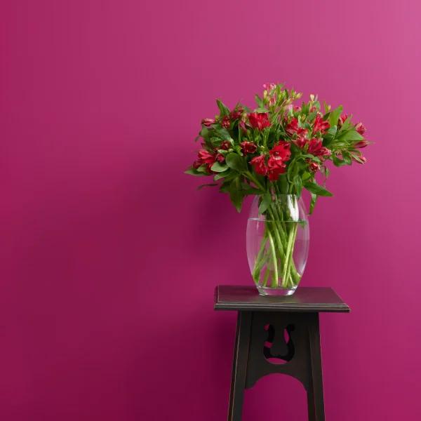 PlumPudding-ggg0333_2048x Plum Pudding Trim Paint