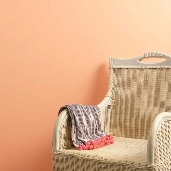 peach-and-love-0104_5f17d441-cc5f-4aaf-9ffb-acd980d999a3_2048x Peach & Love Trim Paint