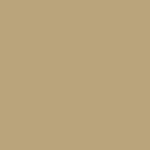 Spectrum - Beige Q03