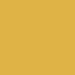 Spectrum - Mustard Y27