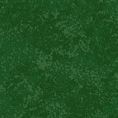 Spraytime - CHRISTMAS GREEN G67