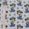 Mickey Mouse Steamboat Collection - CC059