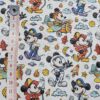 Mickey Mouse Steamboat Collection - CC061