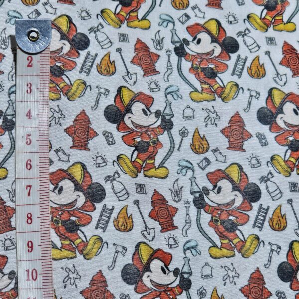 Mickey Mouse Steamboat Collection - CC062