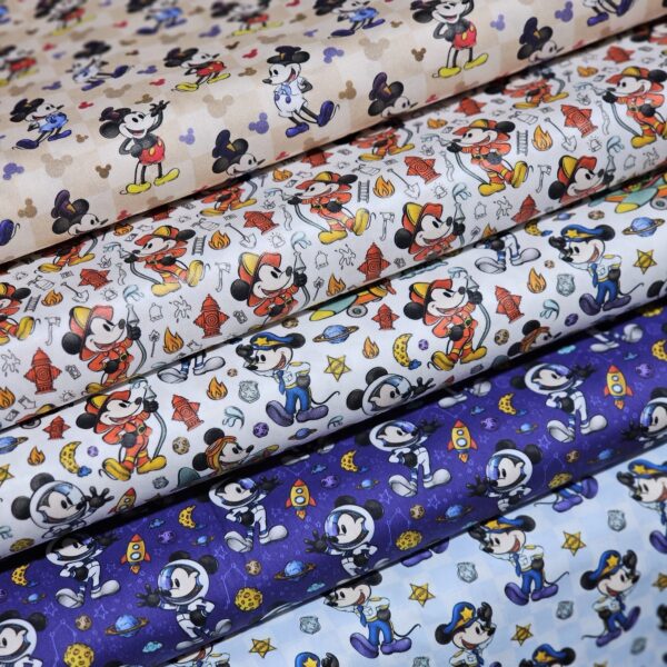 Mickey Mouse Steamboat Collection - CC060