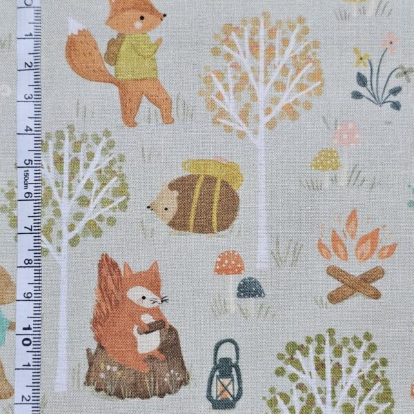 Dashwood Studio - Cedar Camp by Ramble & Bramble  - D001