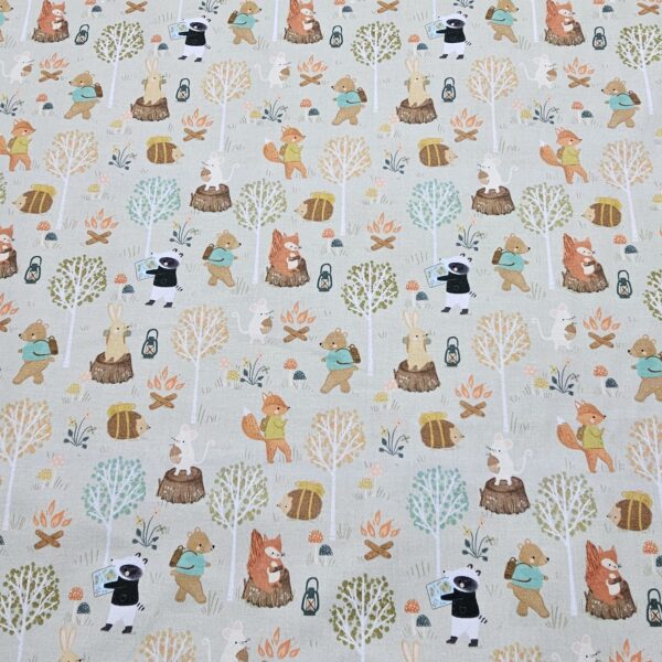 Dashwood Studio - Cedar Camp by Ramble & Bramble  - D001
