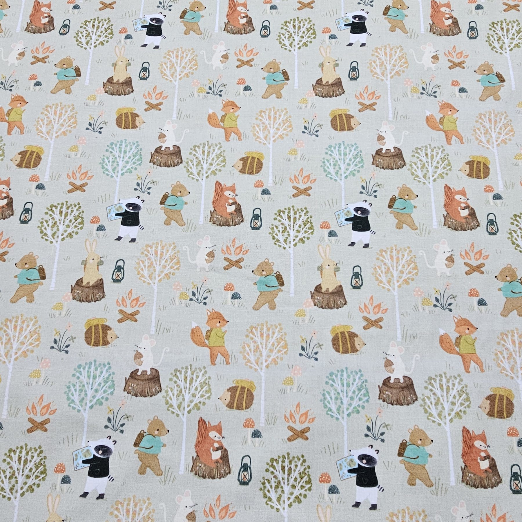 Dashwood Studio - Cedar Camp by Ramble & Bramble  - D001