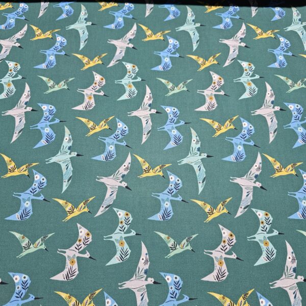 20250414_115232 Dashwood Studio - ROAR by Bethan Janine - Dinosaurs - D010