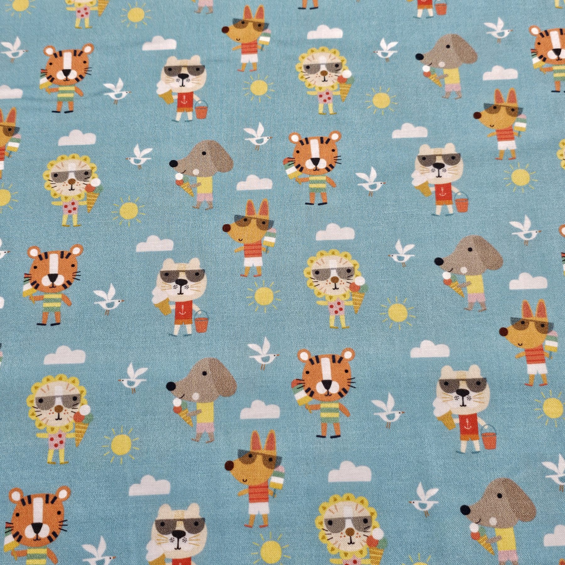 Dashwood Studio - Summer Fun by Sally Payne - D041