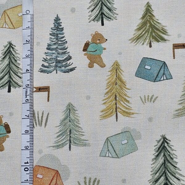 20250414_163612 Dashwood Studio - Cedar Camp Collection by Ramble & Bramble - D048