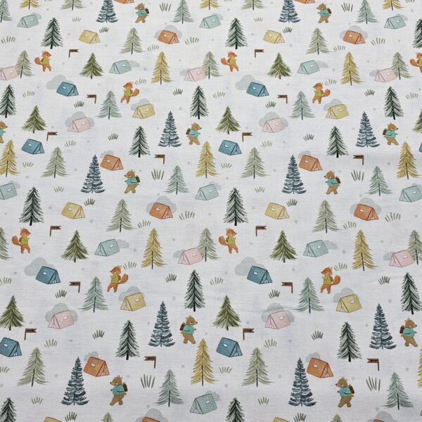 20250414_163658 Dashwood Studio - Cedar Camp Collection by Ramble & Bramble - D048