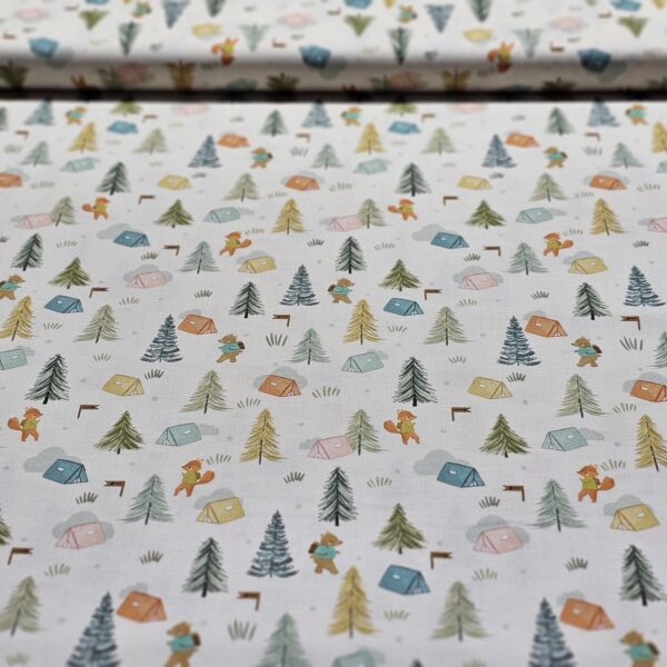 20250414_163716 Dashwood Studio - Cedar Camp Collection by Ramble & Bramble - D048
