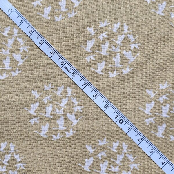 Dashwood Studio -  New Beginnings by Lisa Dolson - D049