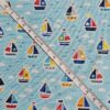 20250421_131252 Makower - Pool Party Boats - M139