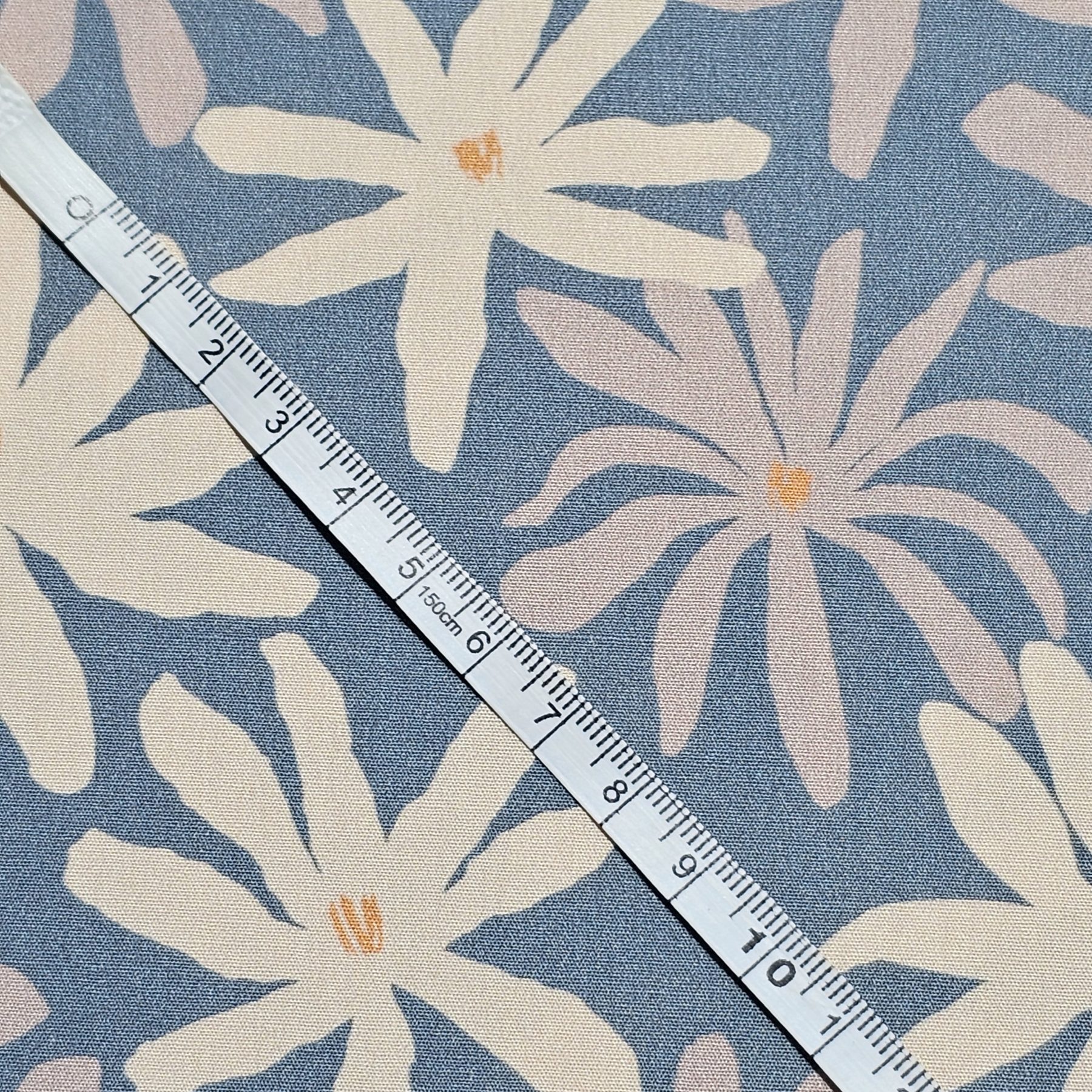 Dashwood Studio - Woodland Notions by Nina Raby Jones - D063