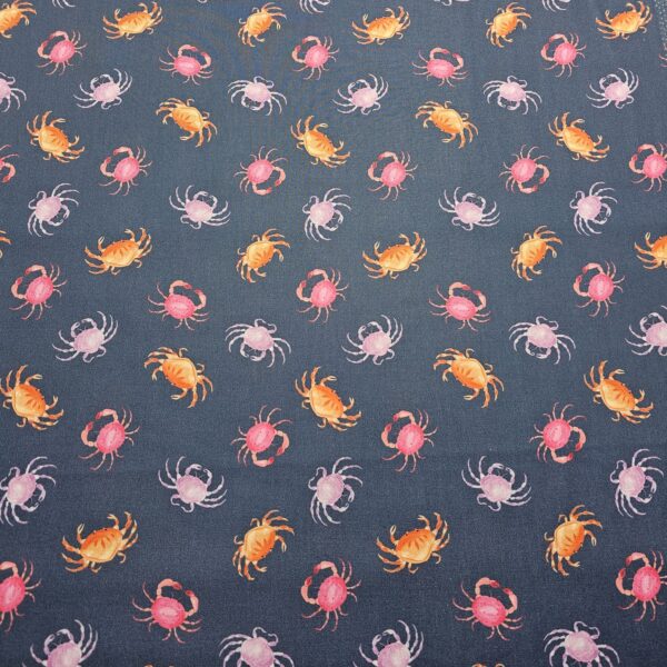Dashwood Studio - Coral Coast by Sarah Knight - D067