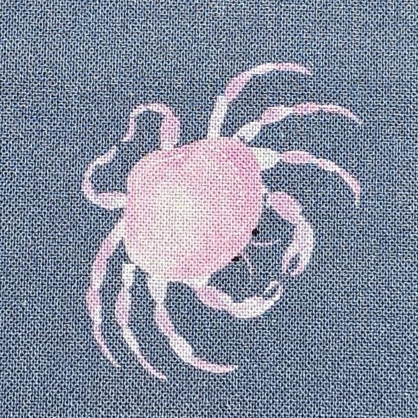 Dashwood Studio - Coral Coast by Sarah Knight - D067