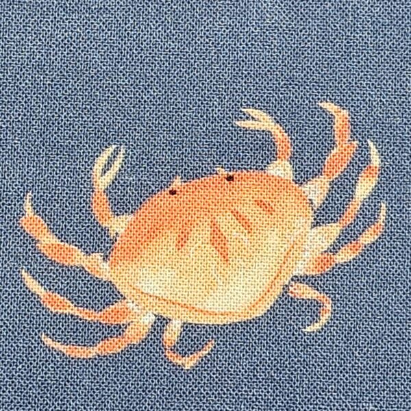 Dashwood Studio - Coral Coast by Sarah Knight - D067