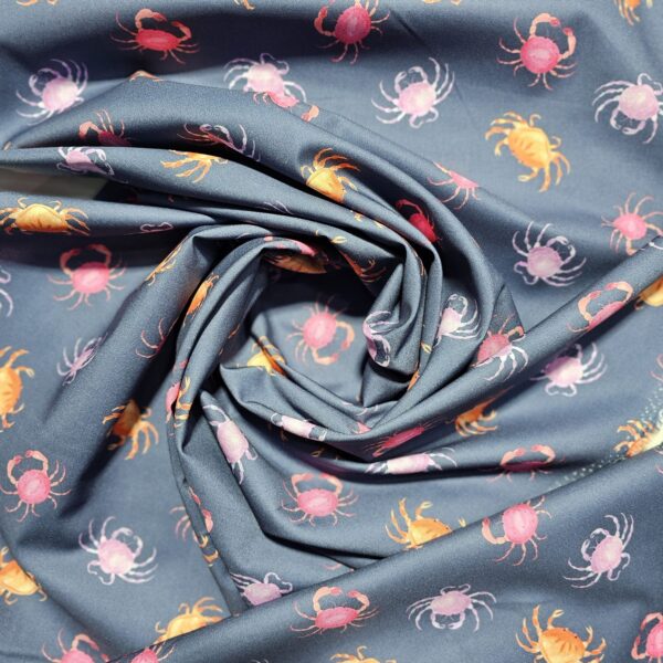Dashwood Studio - Coral Coast by Sarah Knight - D067