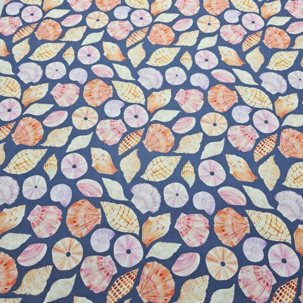 Dashwood Studio - Coral Coast by Sarah Knight - D070