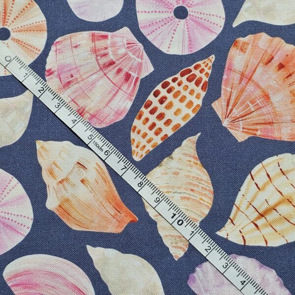 Dashwood Studio - Coral Coast by Sarah Knight - D070