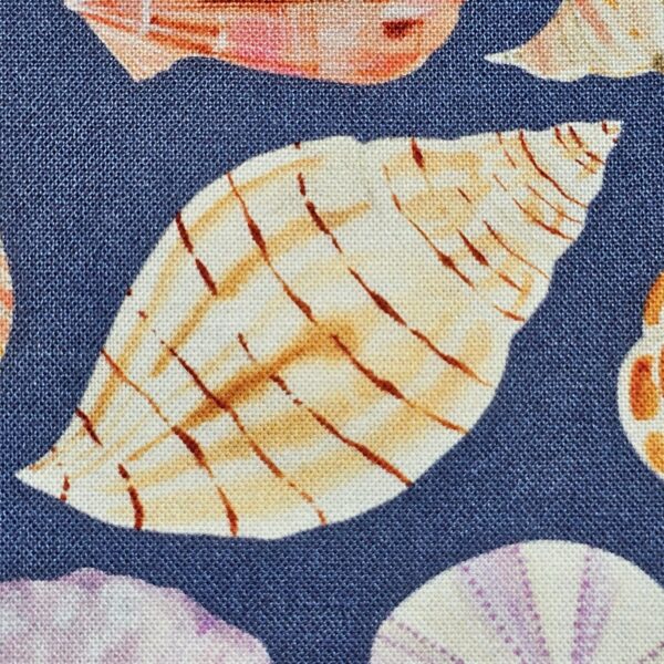 Dashwood Studio - Coral Coast by Sarah Knight - D070