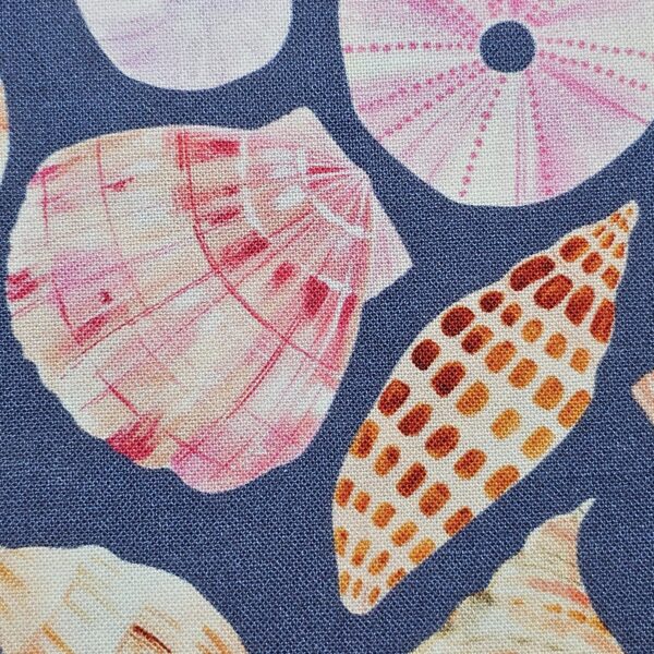 Dashwood Studio - Coral Coast by Sarah Knight - D070