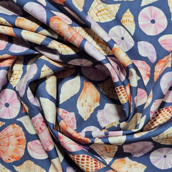 Dashwood Studio - Coral Coast by Sarah Knight - D070