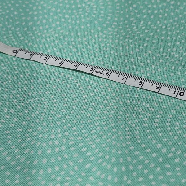 Dashwood Studio - Twist Mint - D080