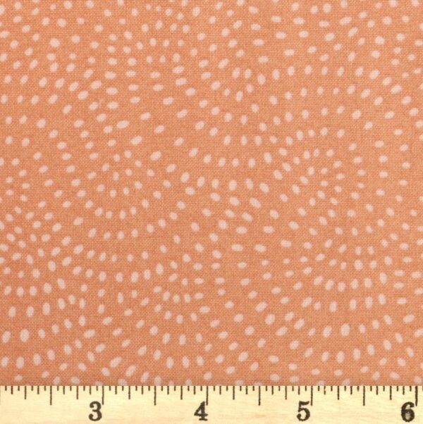 Dashwood Studio - Twist Creme - D098
