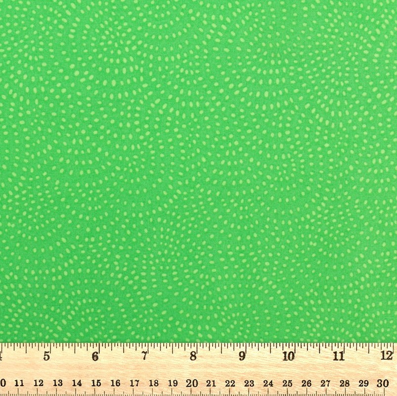 Dashwood Studio - Twist Kiwi - D078