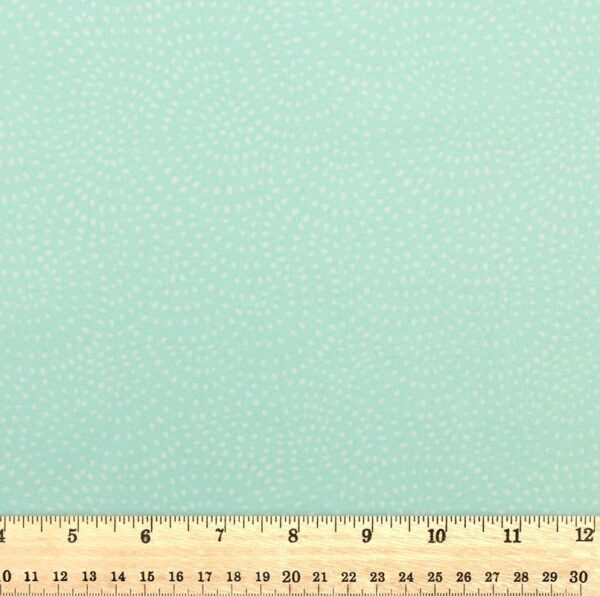 Dashwood Studio - Twist Mint - D080