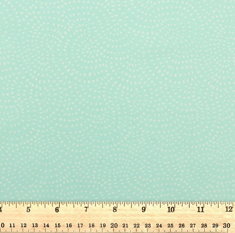Dashwood Studio - Twist Mint - D080