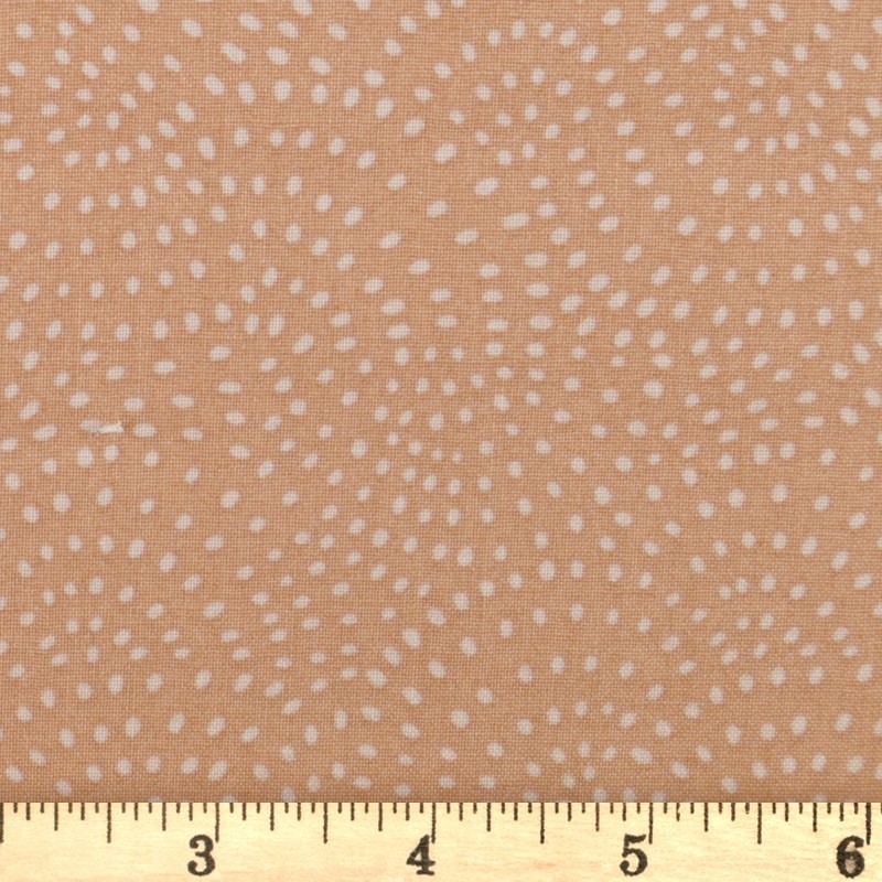 Dashwood Studio - Twist Toast - D075