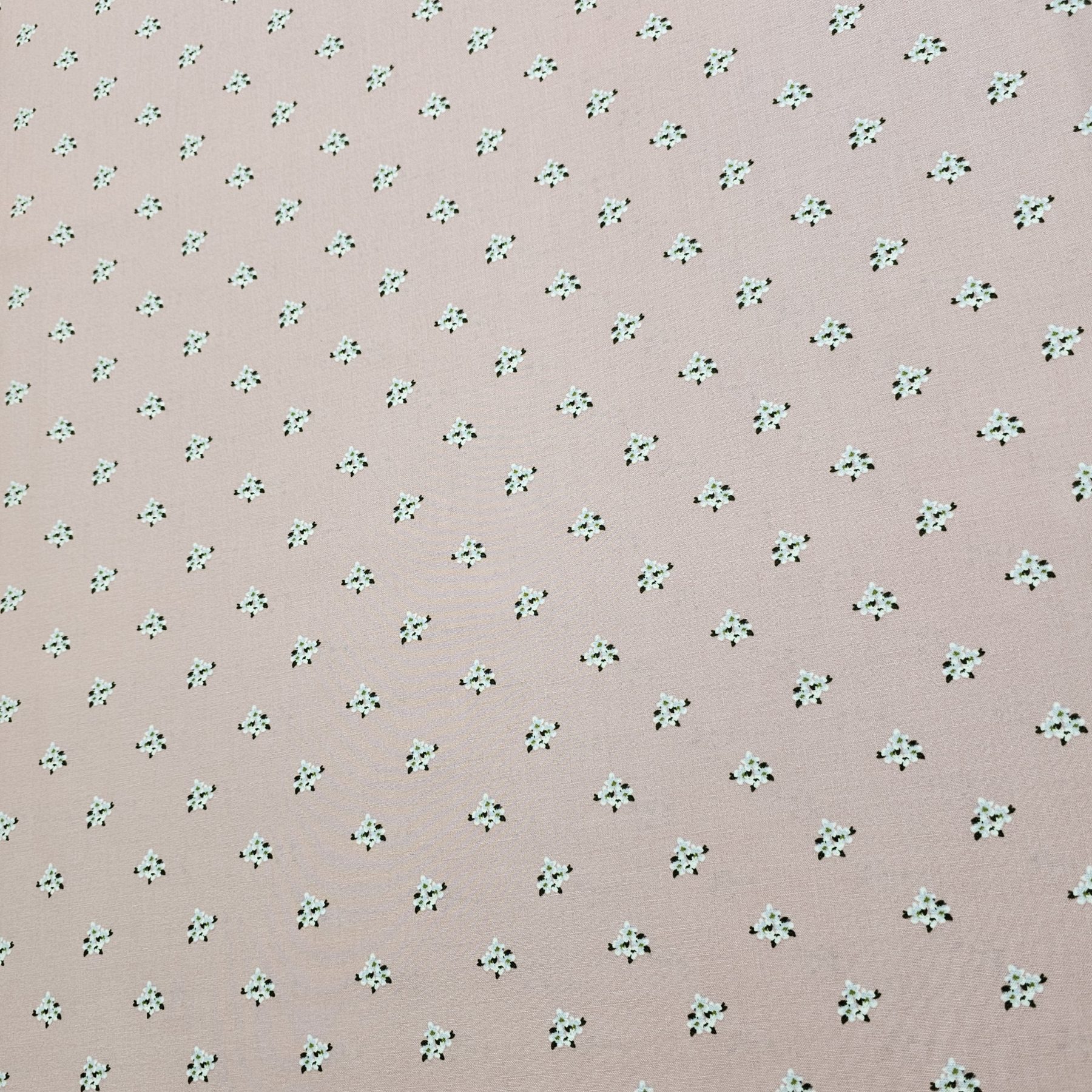 Riley Blake - Bellissimo Gardens - Fabric - RB024