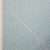 Riley Blake - Swan Serenade - Fabric - RB025