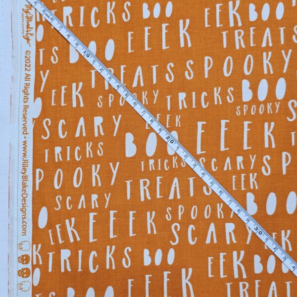 Riley Blake - Spooky - Fabric - RB033