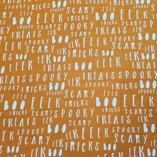 Riley Blake - Spooky - Fabric - RB033