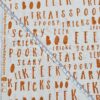 Riley Blake - Spooky - Fabric - RB034