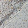 20251124_120019 Makower - Atelier Notions - M154