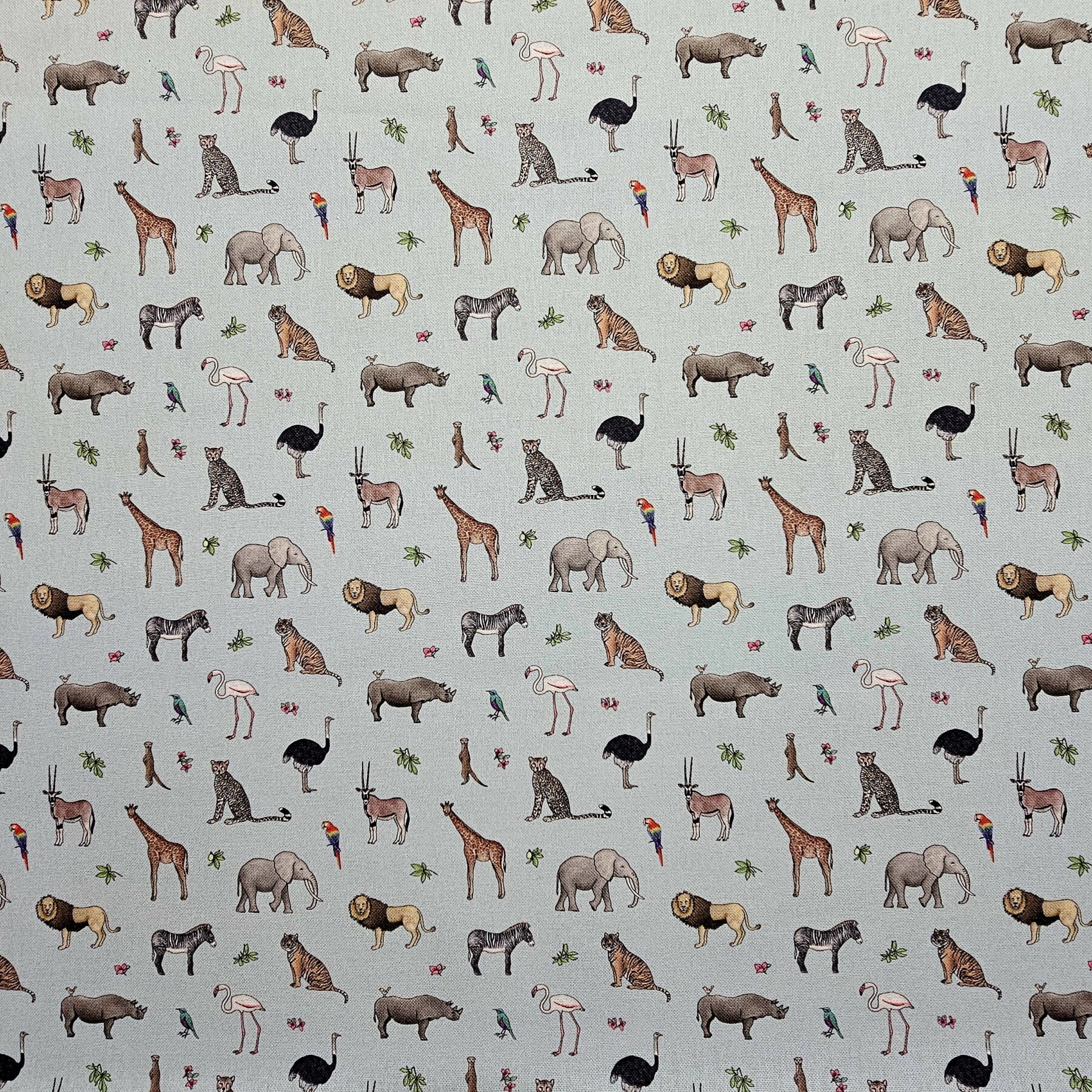 Panama 100% Cotton Fabric - Emma Lawrence Designs - Safari - CC253