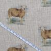 Cotton Canvas - Sheep - CC276