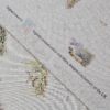 Cotton Canvas - Fawns - CC280