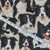 Makower - Dogs Border Collie - M214