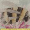 Fabric Panel - Bee and Flower - Panel 26